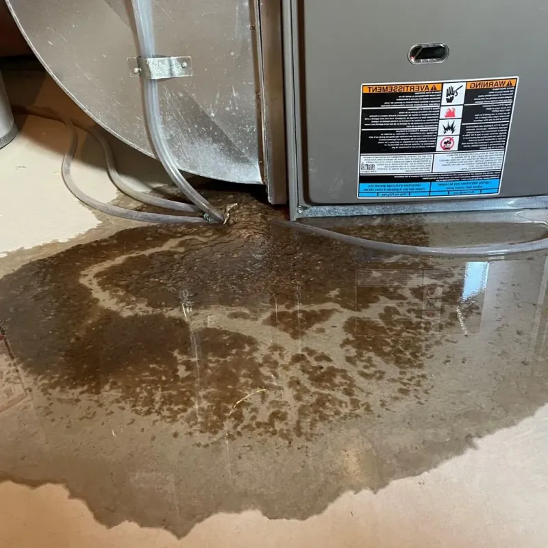 Pipe Burst and Leak Restoration in Tyrone, PA