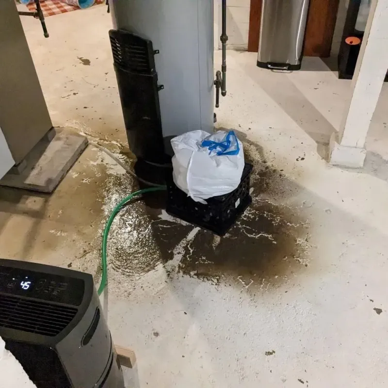 Sewage Backup Cleanup Service in Tyrone, PA